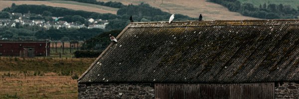 coffeerobot Profile Banner