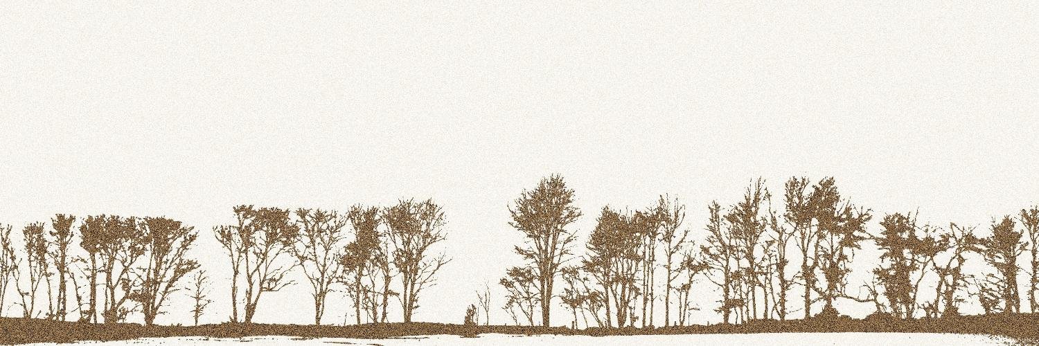 ZachAndCheyloe's profile banner image