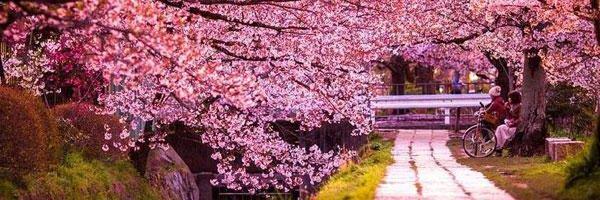 IsabelColgada's profile banner image