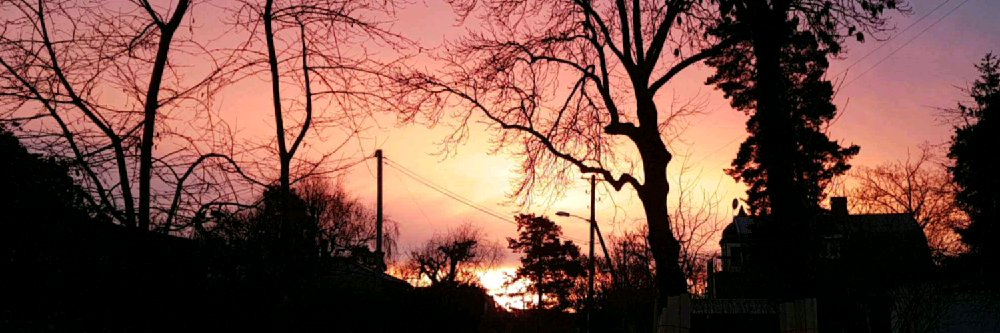 Debbie__48's profile banner image