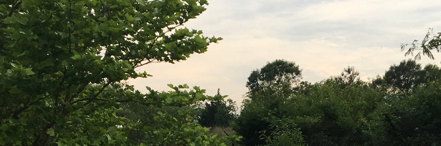 HHouse444's profile banner image