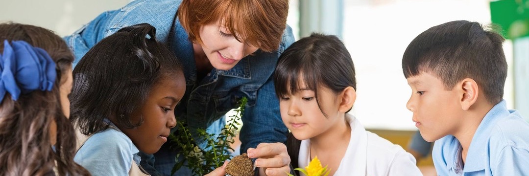 GreenLearning banner