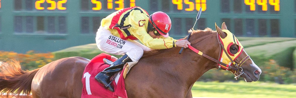 losalracing's profile banner image