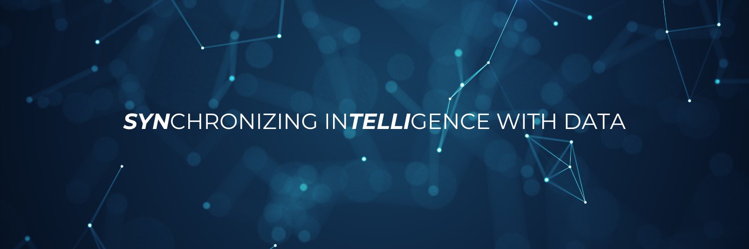 Syntelli Solutions banner