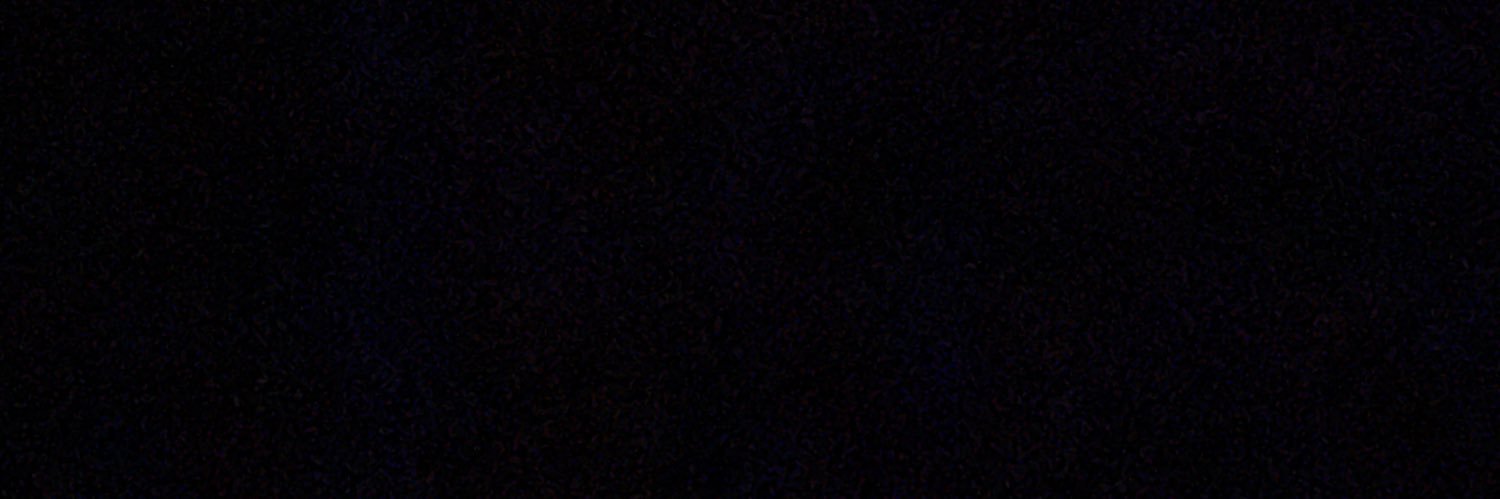 Lenny banner
