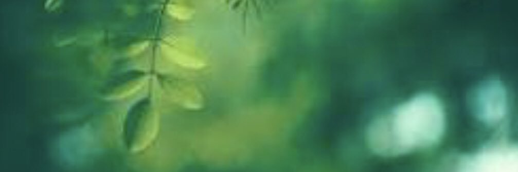 a1lb74rd's profile banner image