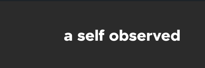 ASelfObserved's profile banner image