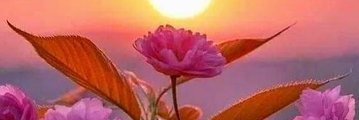Zdemir15's profile banner image
