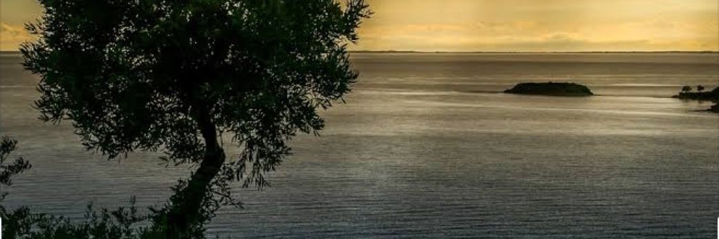 SSantos74392's profile banner image