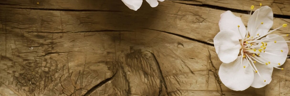 mihadbasheer's profile banner image