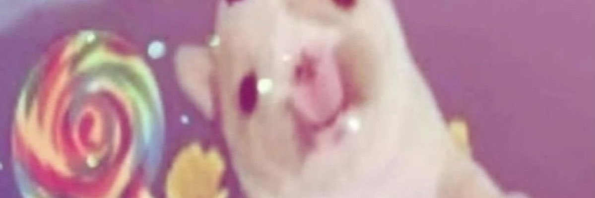 tarah_ble's profile banner image