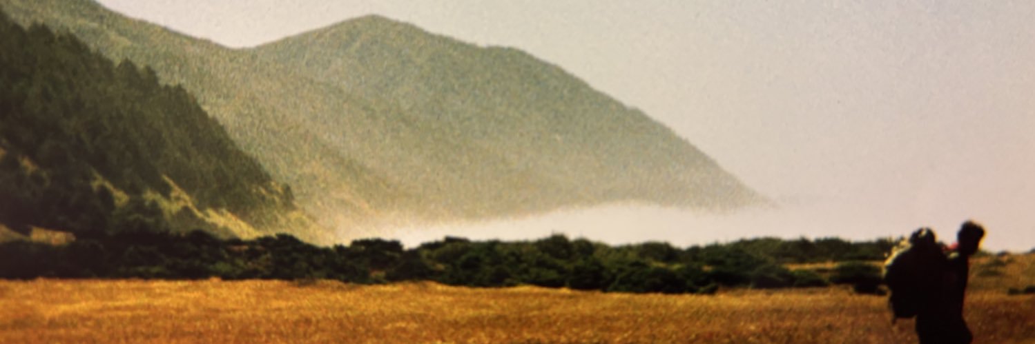brynstole's profile banner image