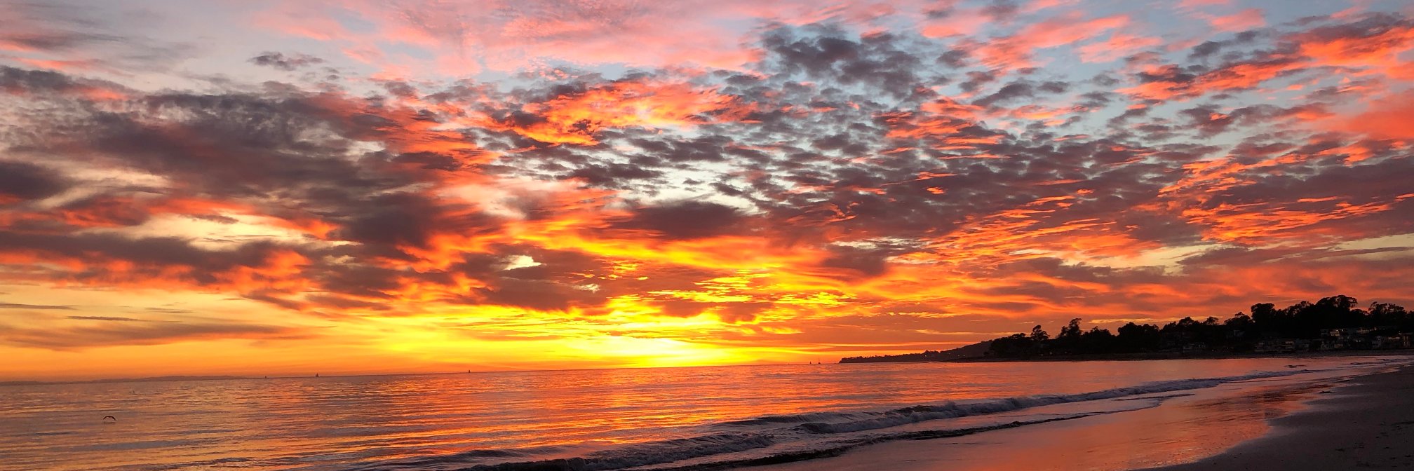 Guillaume de Zwirek banner