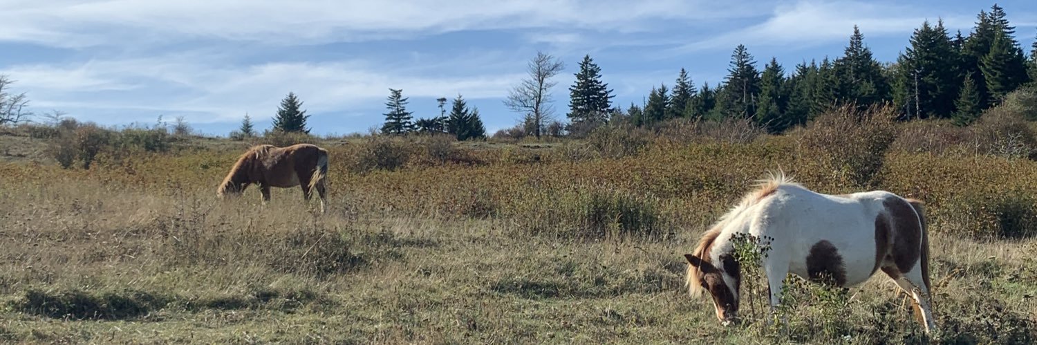 OhKayMae's profile banner image