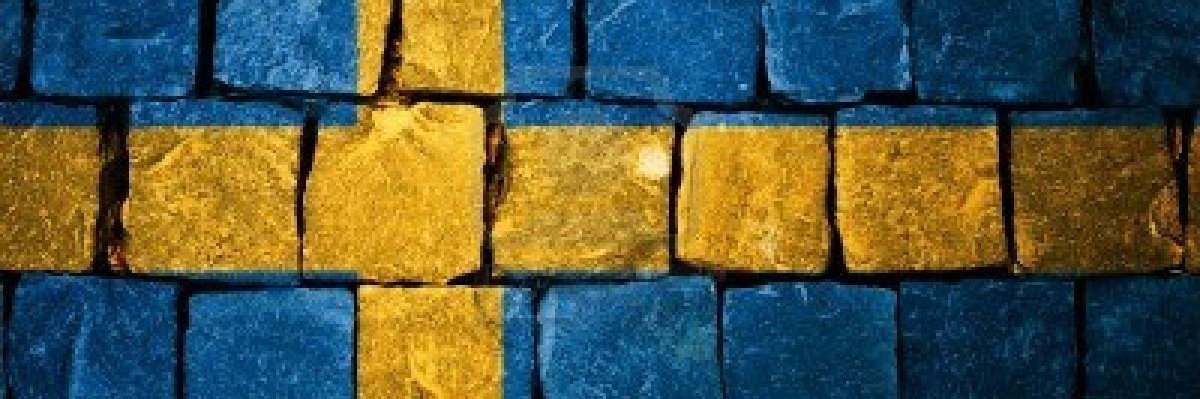 SwedishGoofBall's profile banner image