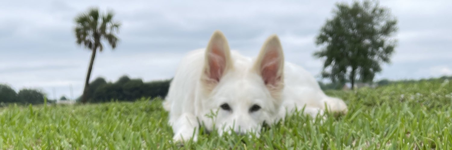 colehebert1's profile banner image