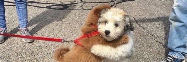 jonesisdead Profile Banner