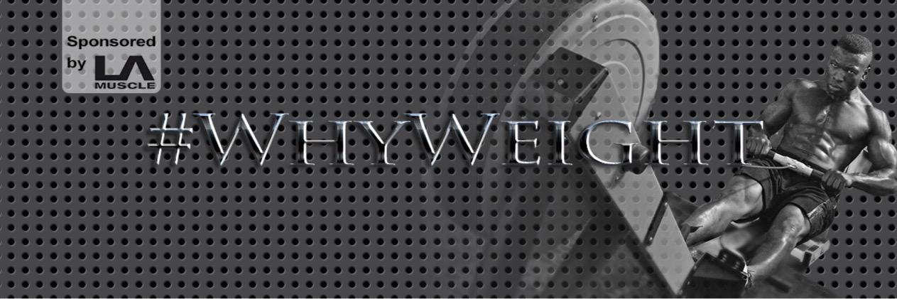 MichaelCalvin8's profile banner image