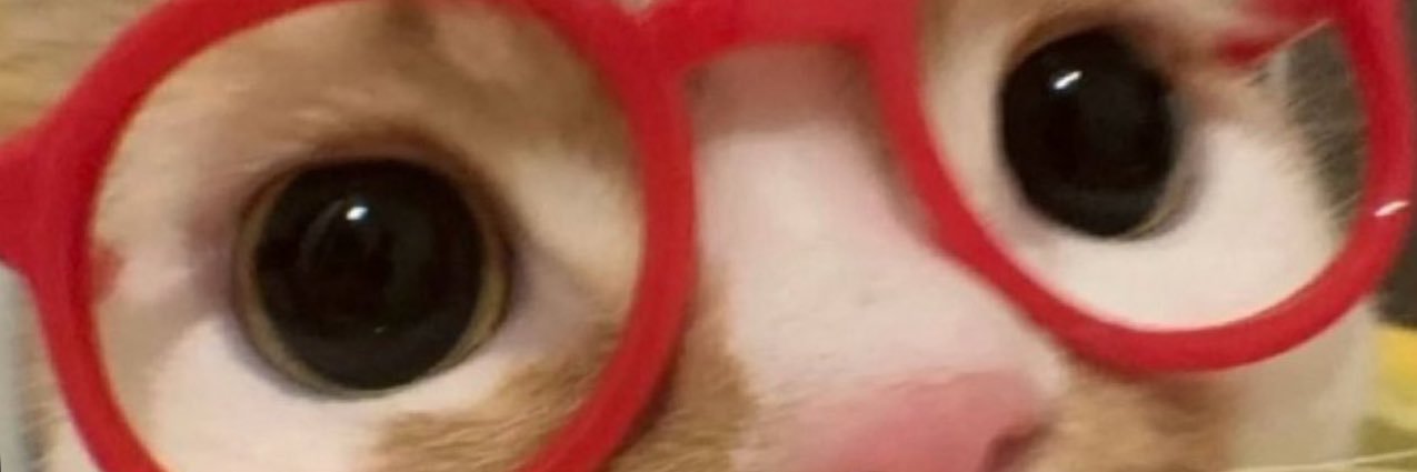 Riddick banner