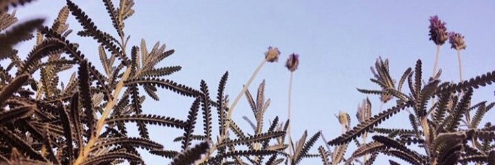 jud1ts's profile banner image
