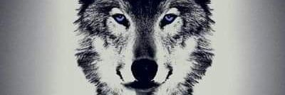 zeybekd's profile banner image