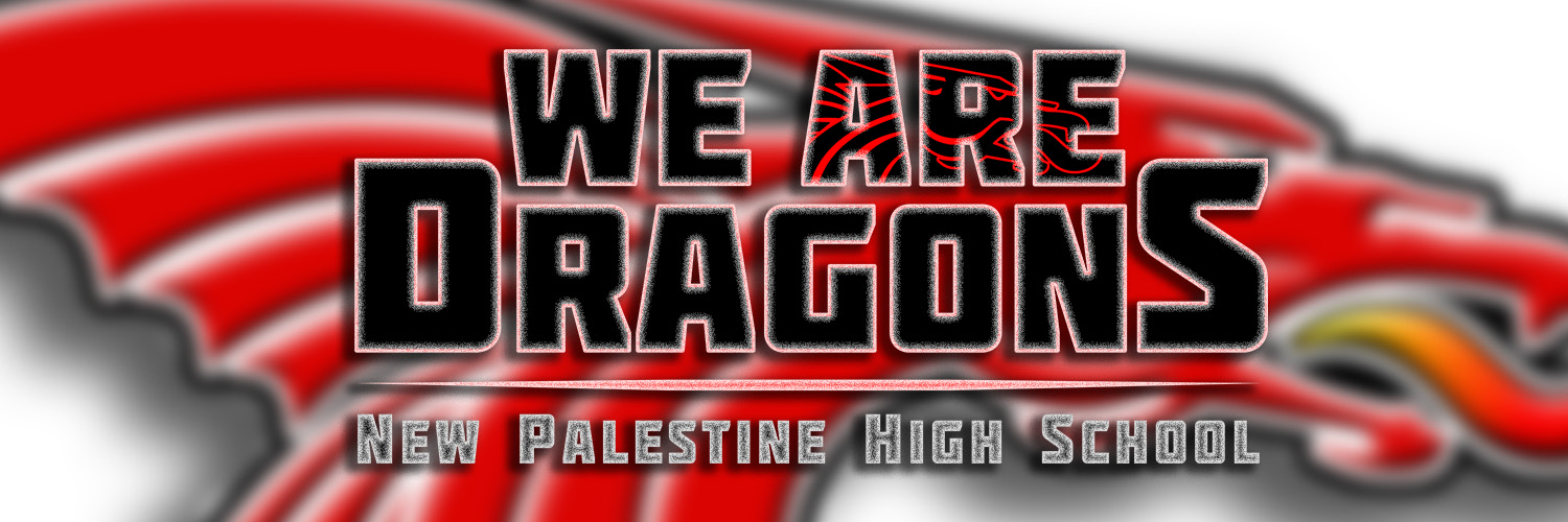 New Palestine Dragons banner