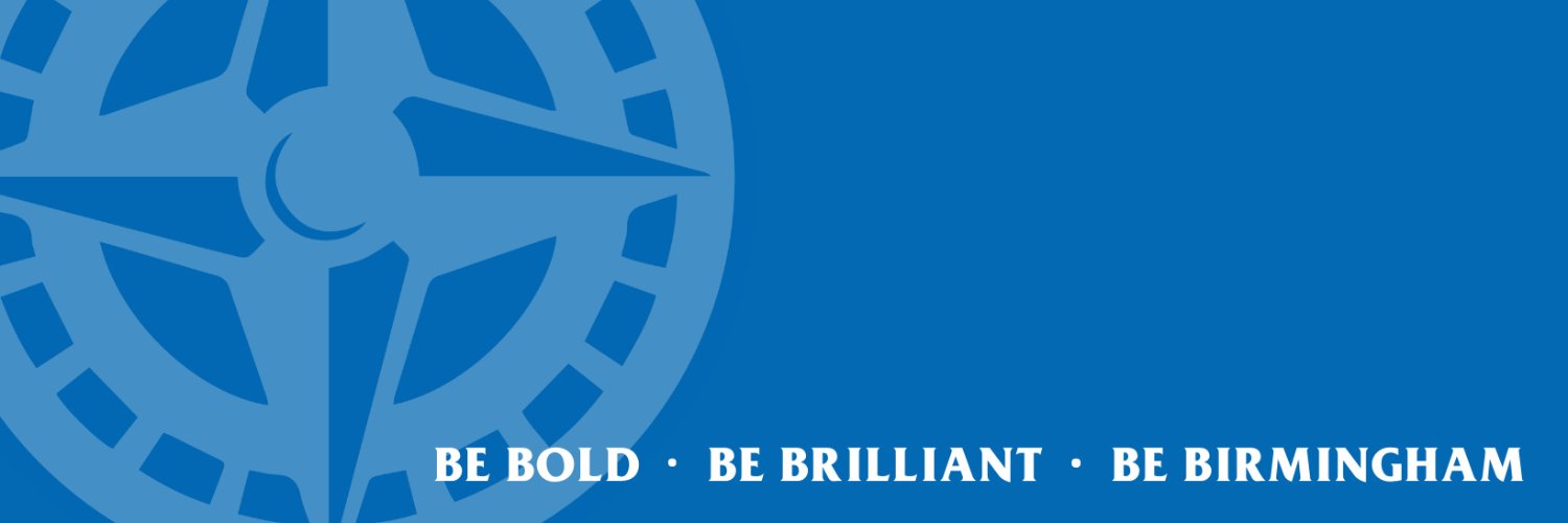 Birmingham Schools banner