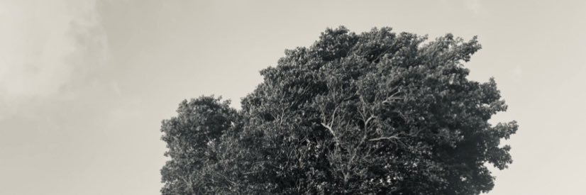 KofiWardlow's profile banner image