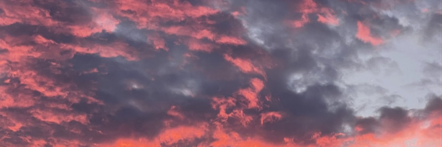 kimvanmeer's profile banner image