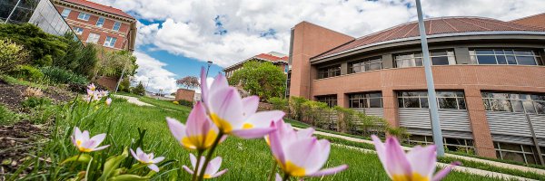 University of Northern Iowa Profile Banner