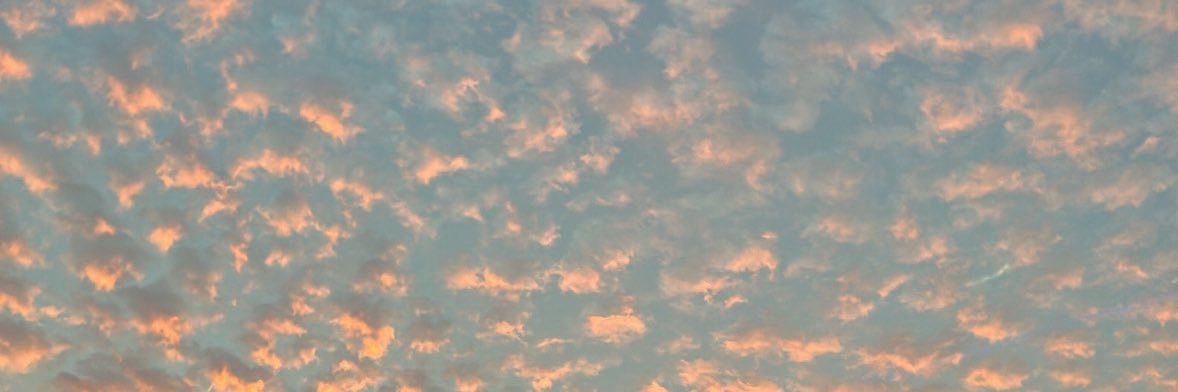 SarahAlMalki's profile banner image