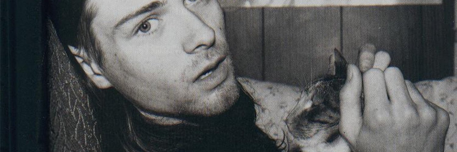 alezir's profile banner image
