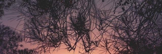 ahtiya_gani's profile banner image