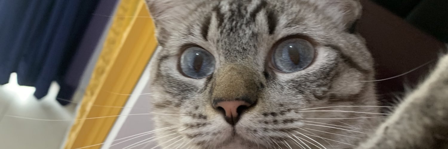 ABiazussi's profile banner image