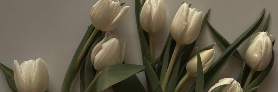 𝓯𝓮𝓫𝓮 banner