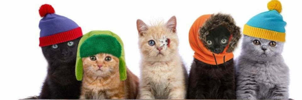 Ambercat99's profile banner image