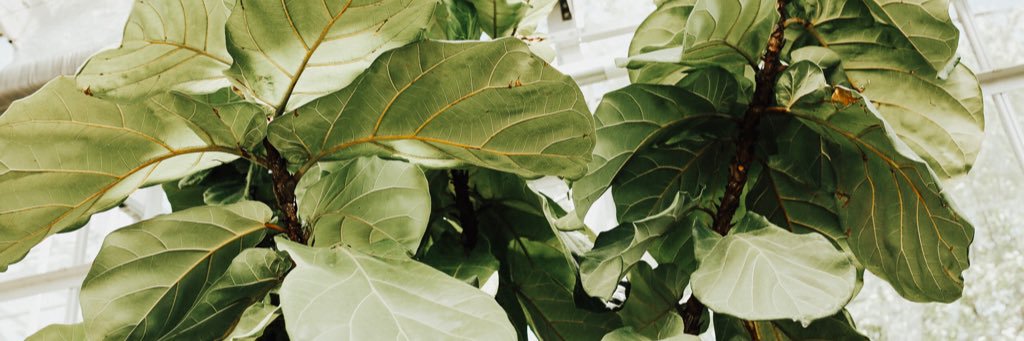 kelseyjoy9's profile banner image