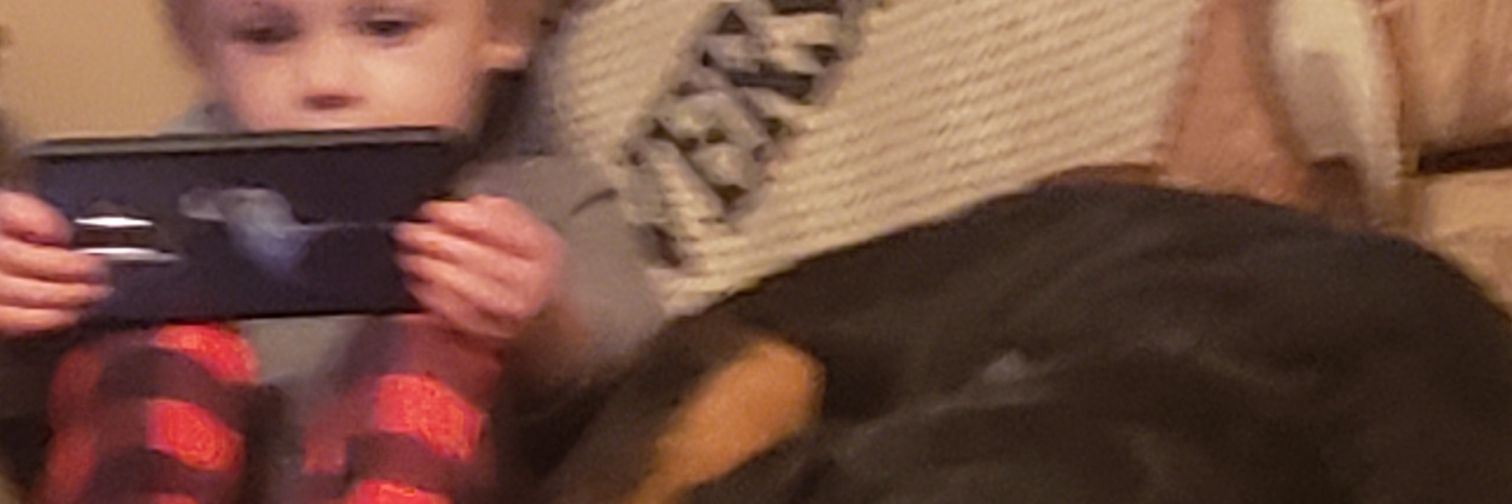Mark Hamilton banner