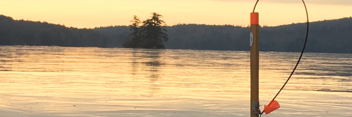 mem65ree's profile banner image