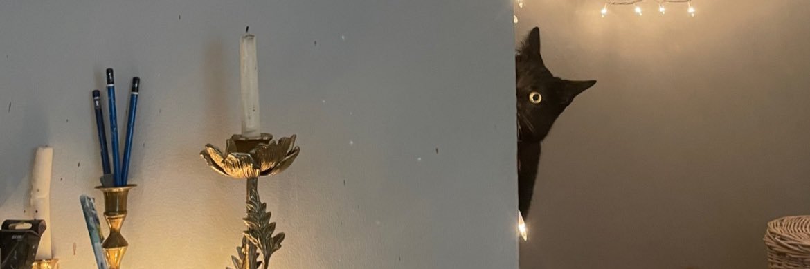 amyspingola's profile banner image