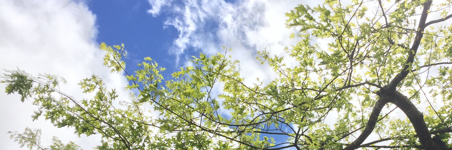 isa ☁️✨ banner