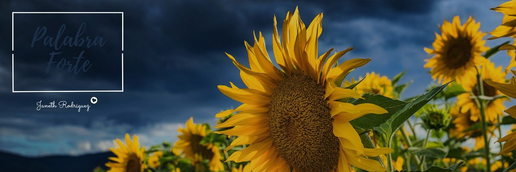 YinJanethRJ's profile banner image