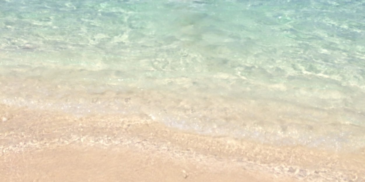 elinsundee's profile banner image