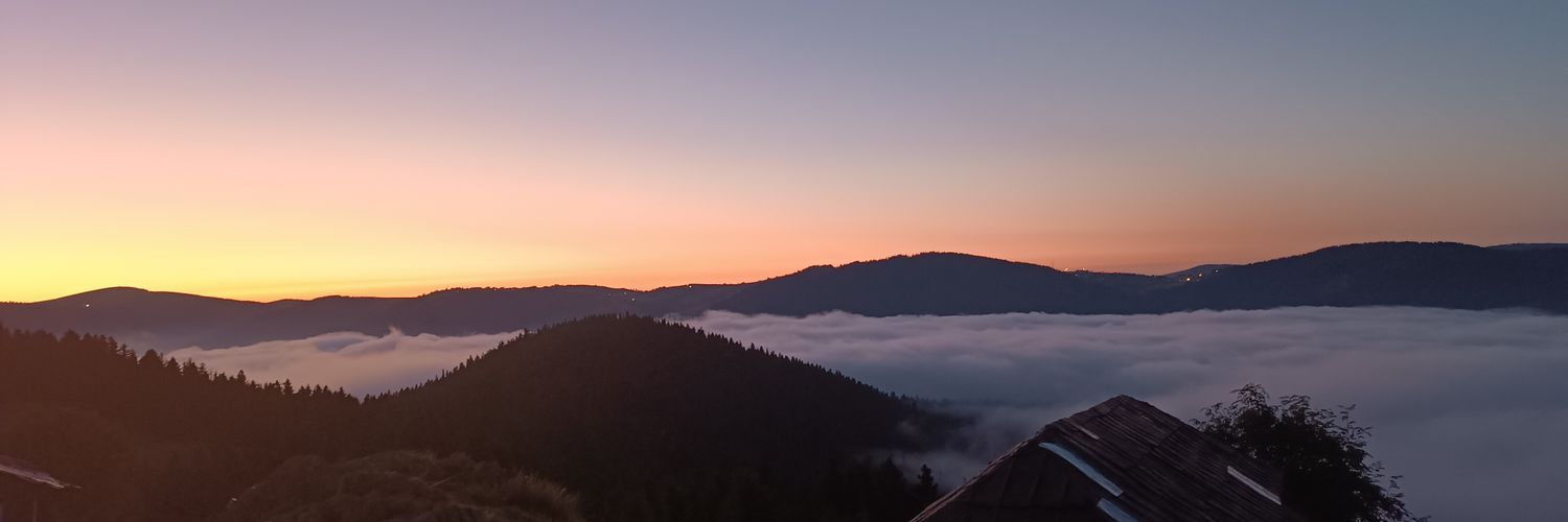 niteliklideli's profile banner image