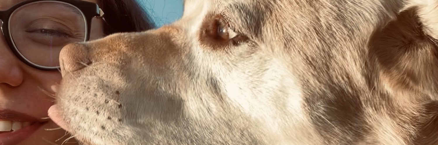 Bazocas25's profile banner image