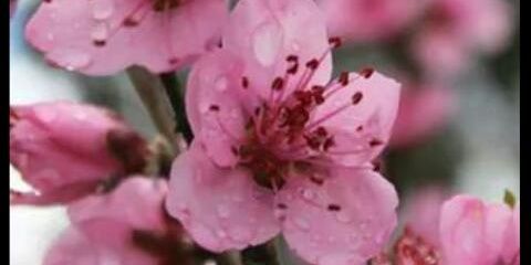 palomagarco's profile banner image