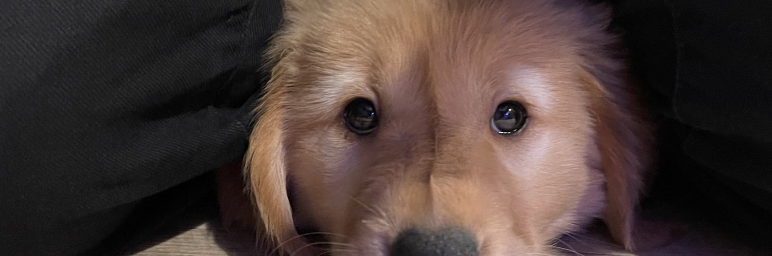 RubenJuarez11's profile banner image