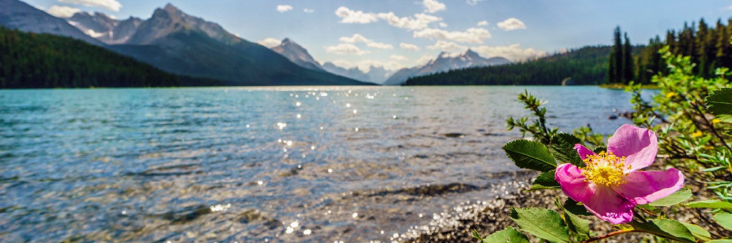 YourAlberta's profile banner image