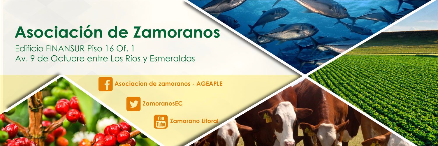 ZamoranosEC's profile banner image