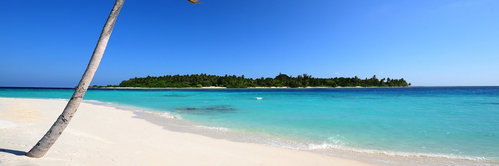 beachdaystudios's profile banner image